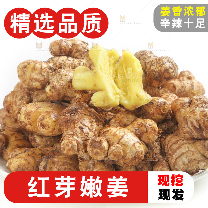 白底上放着云南小黄姜