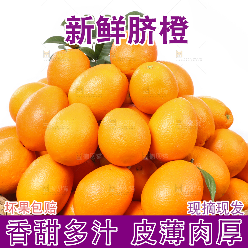 篮子里装着长虹脐橙