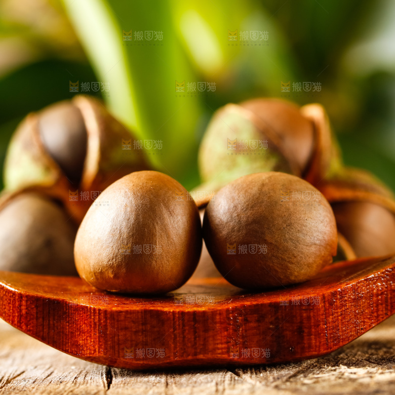 深底上的茶树果