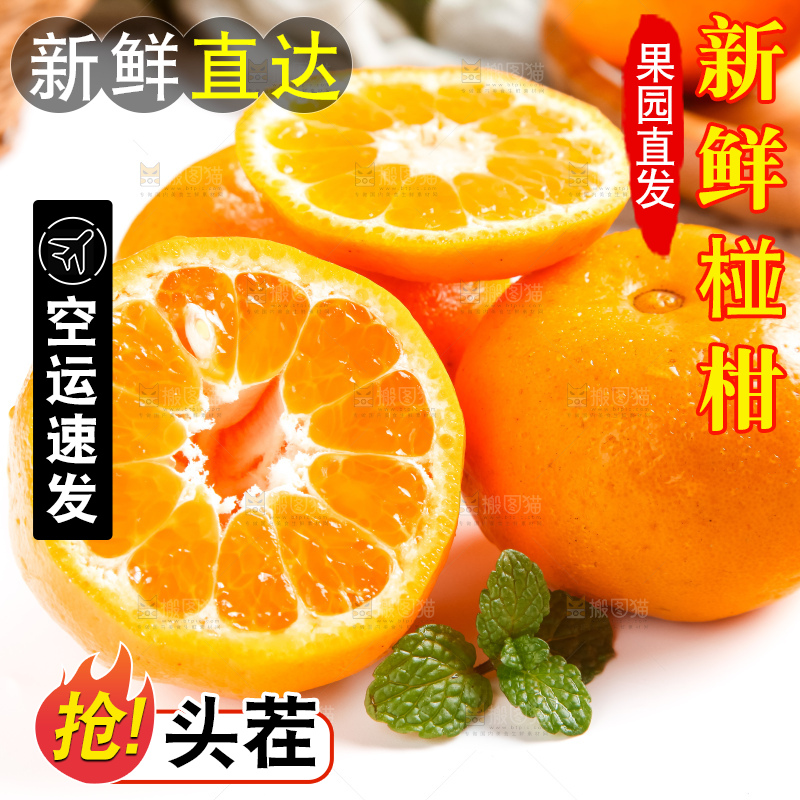 白底上的永春芦柑
