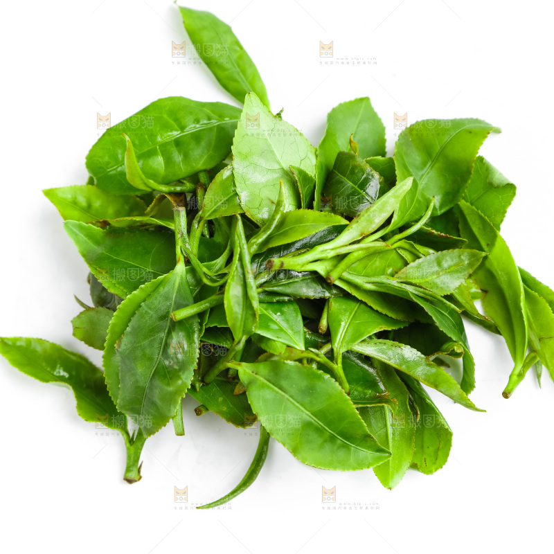 白底上放着绿茶叶