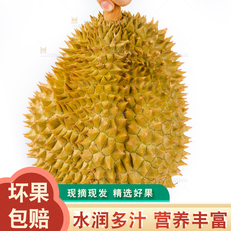 手里拿着泰国金枕榴莲