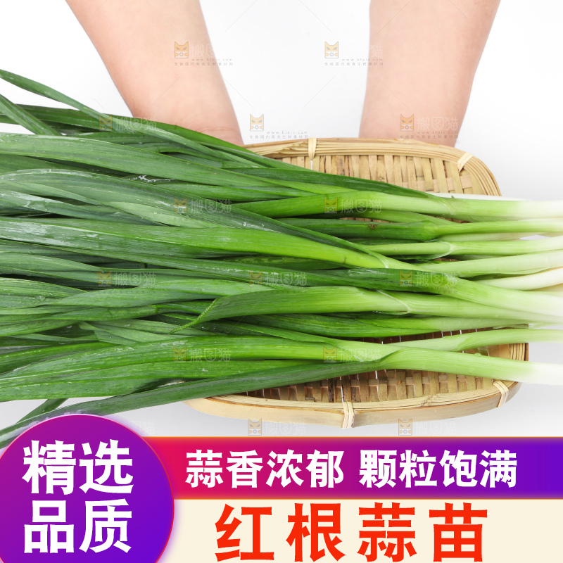 白底上放着蒜苗