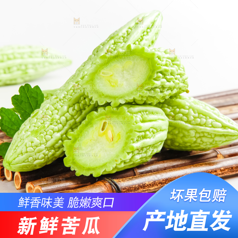 竹底上的长苦瓜