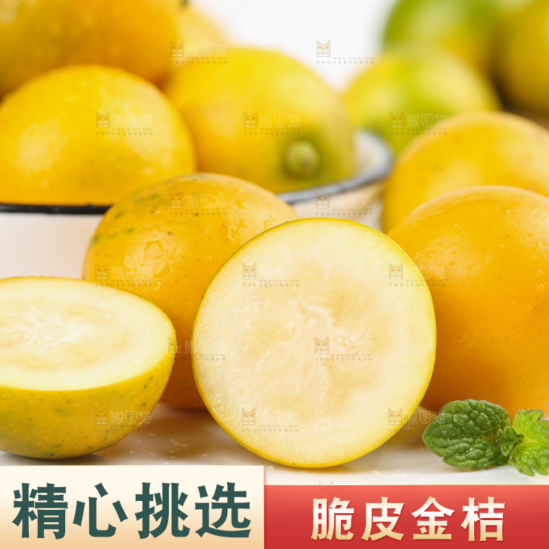 白底上的金桔