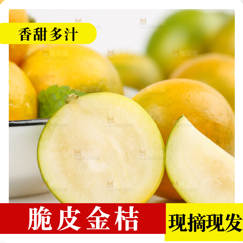 白底上的金桔
