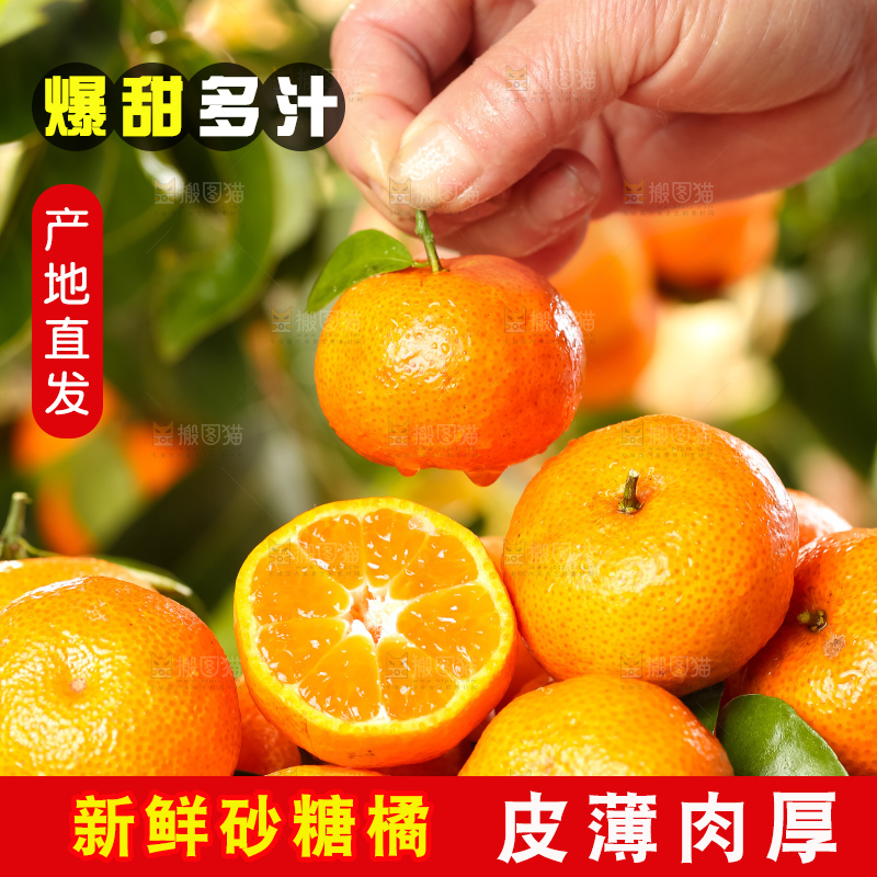 篮子里装着广西砂糖橘