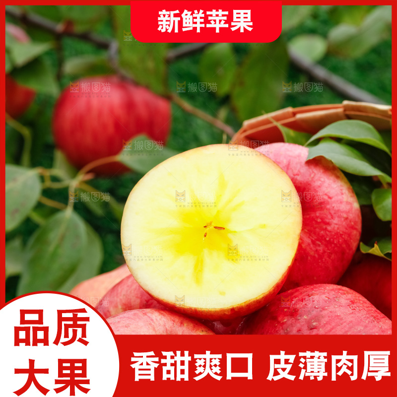 草地上放着冰糖心苹果