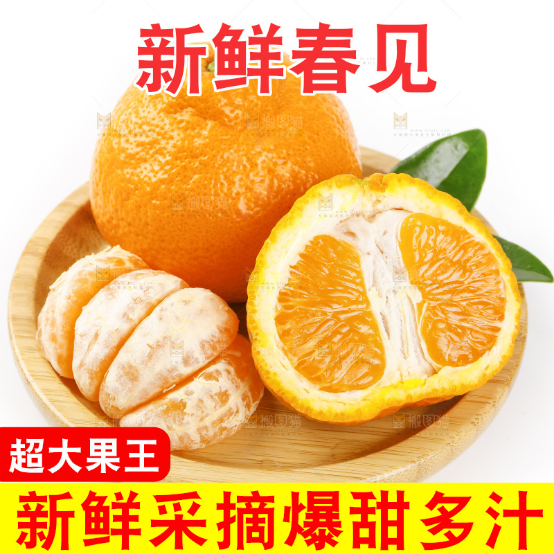 盘子里的春见耙耙柑