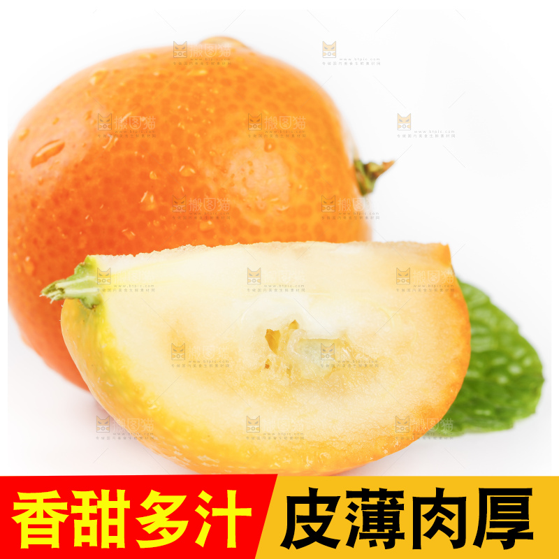 白底上的金桔