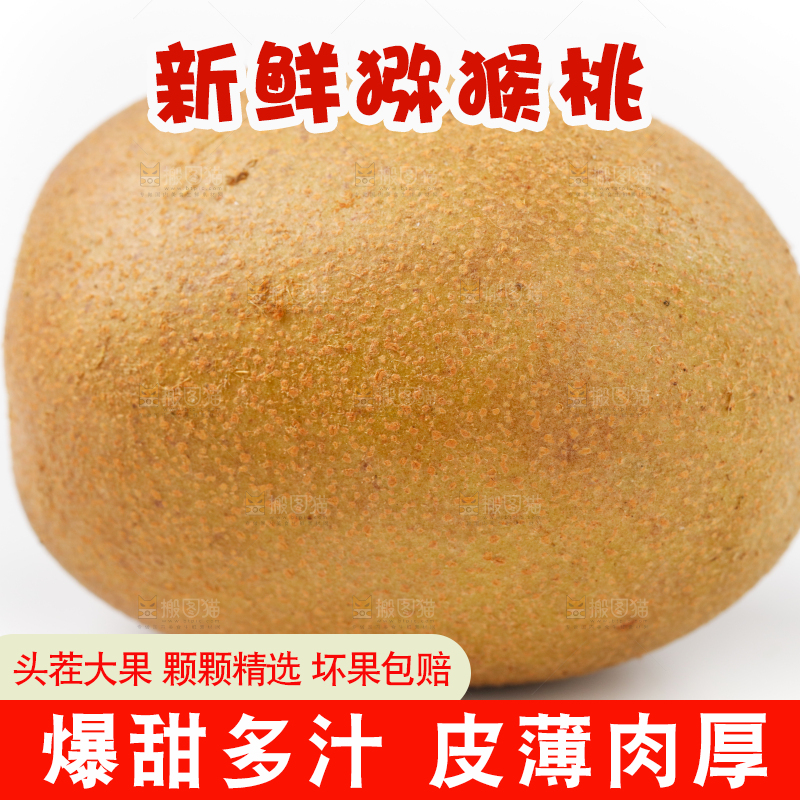 白底上的绿心猕猴桃