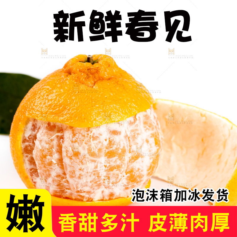 白底上的春见耙耙柑