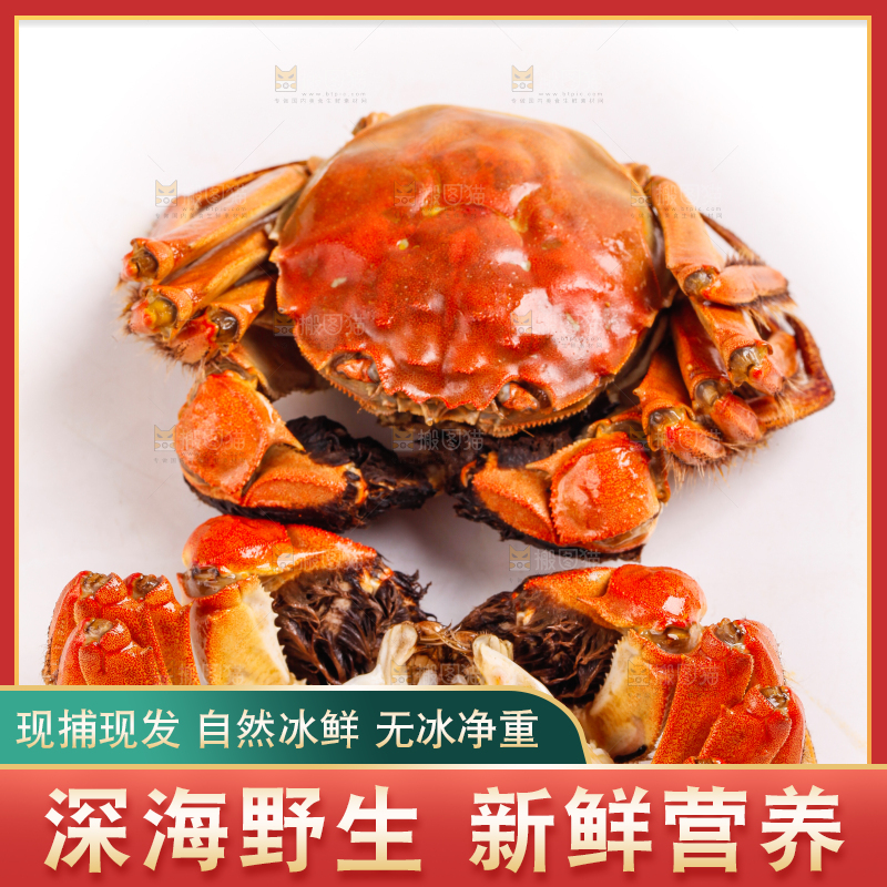 白底上的大闸蟹