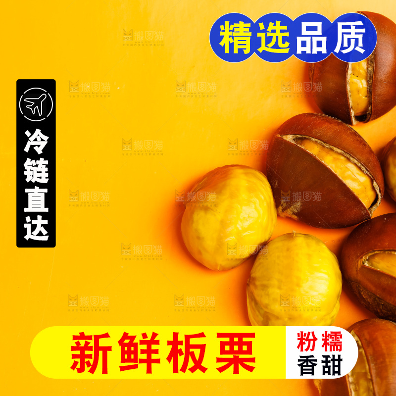 黄底上的迁西板栗