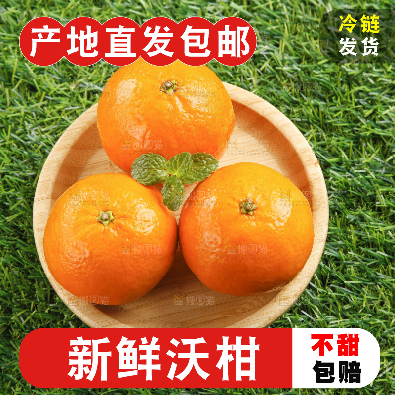 草地上放着贵妃柑