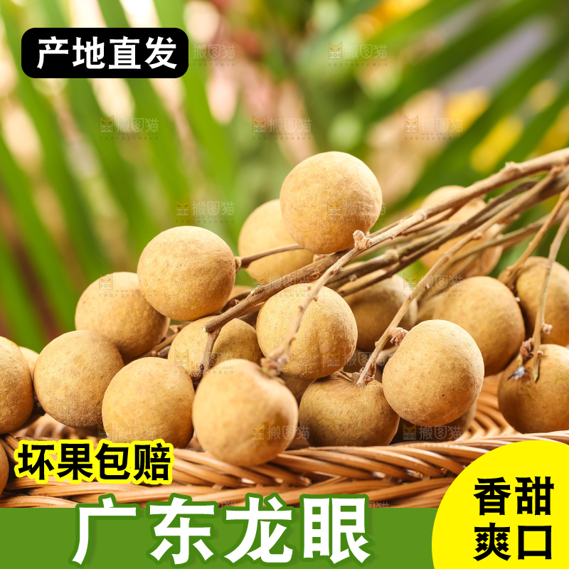 篮子里装着南平龙眼