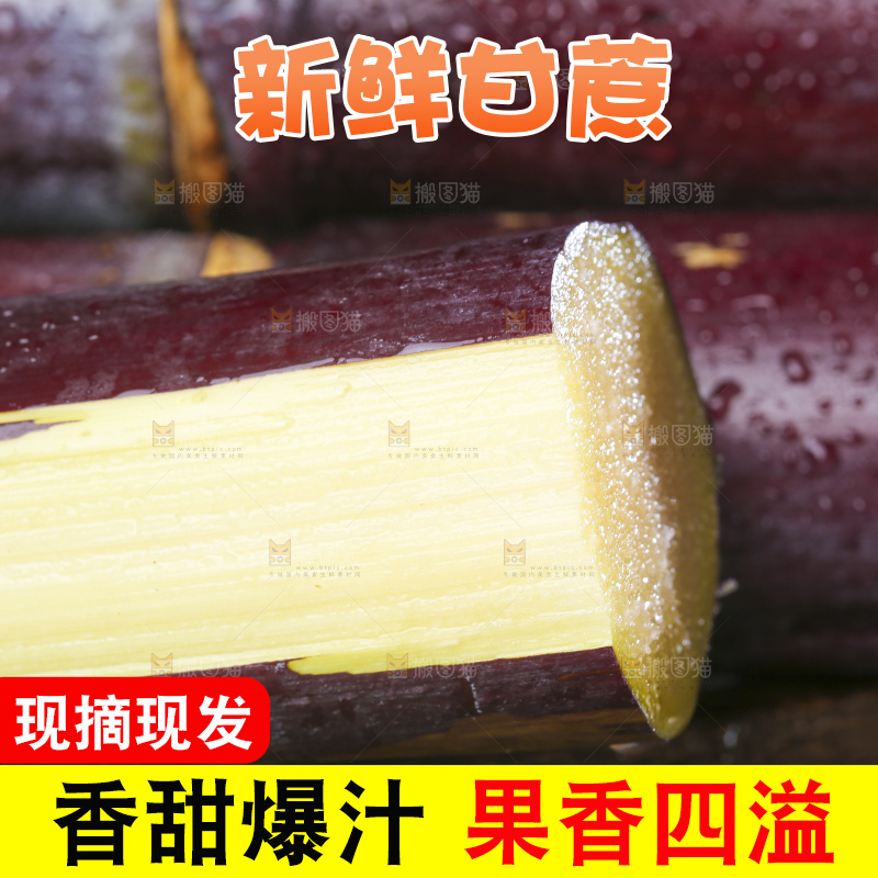 深底上的广西黑皮甘蔗