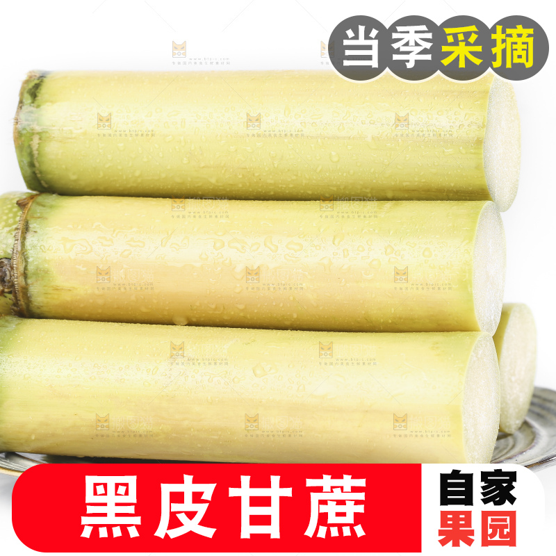 白底上的农家黄皮甘蔗