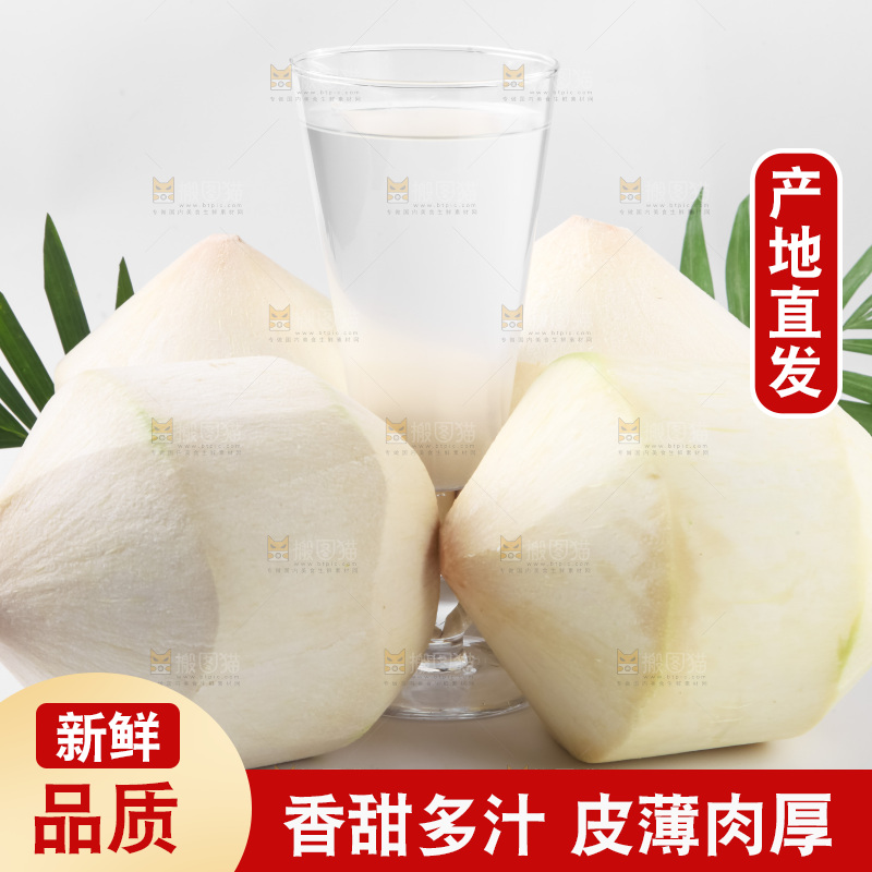 白底上放着椰青