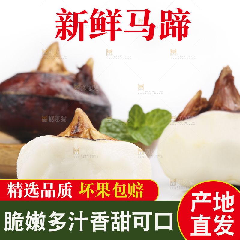 白底上放着广西马蹄