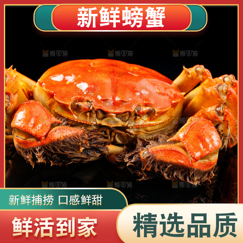 黑底上放着清蒸螃蟹