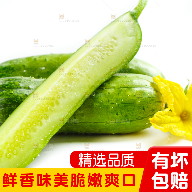 白底上放着新鲜旱黄瓜