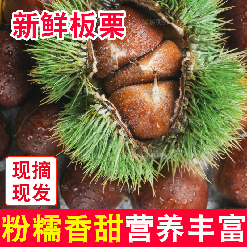 浅底上放着毛栗子