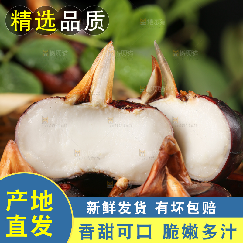 黑石板上的荔浦马蹄