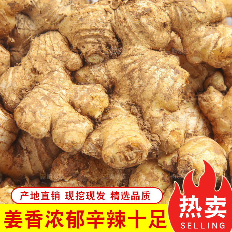 白底上放着云南小黄姜