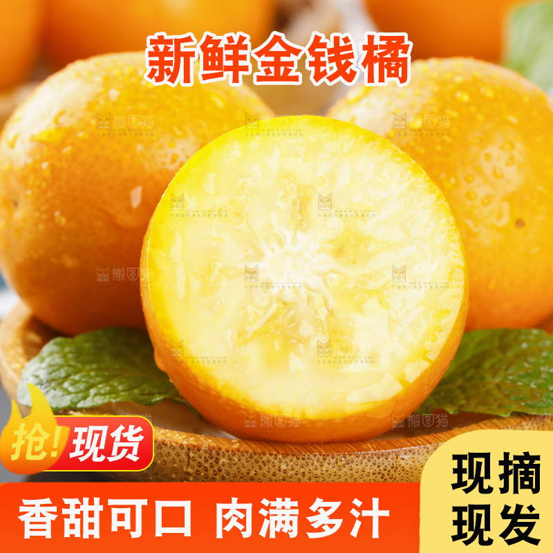 黑石板上的广西金钱橘
