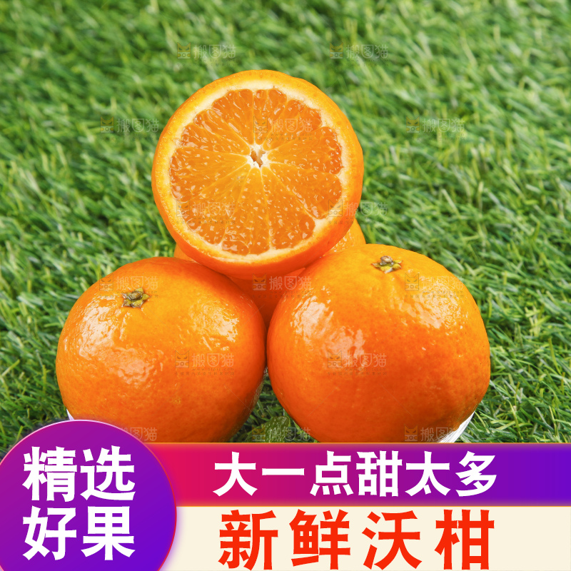草地上放着贵妃柑