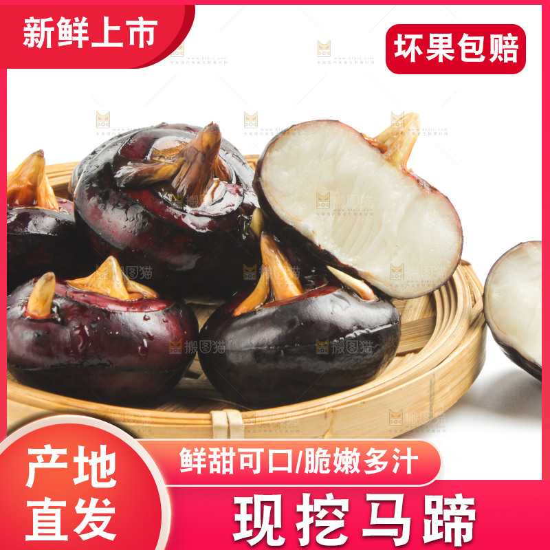 篮子里装着湖北新鲜马蹄