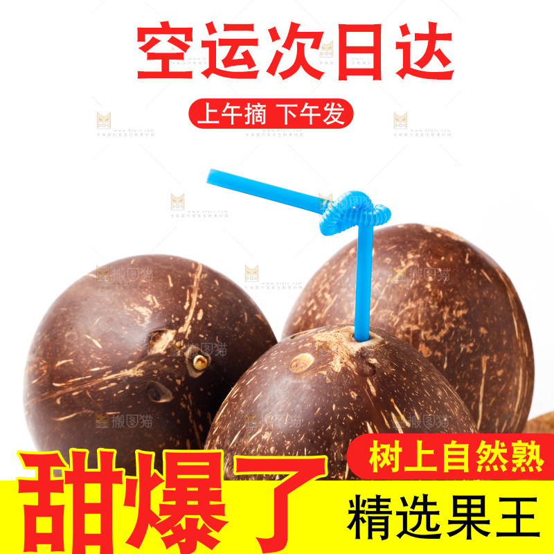 白底上放着椰王