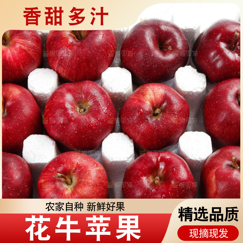 箱子里装着甘肃花牛苹果