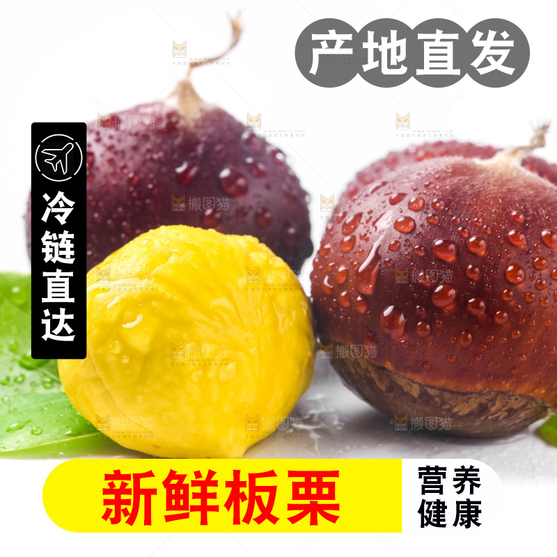 白底上的板栗