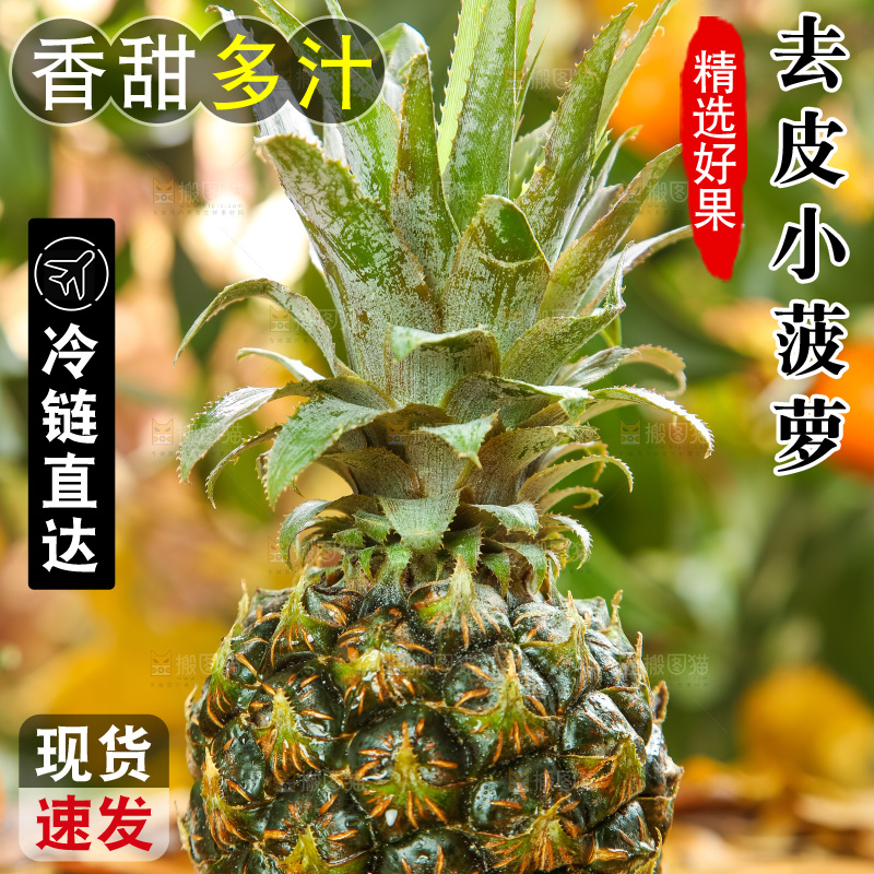 木板上的泰国香水小菠萝