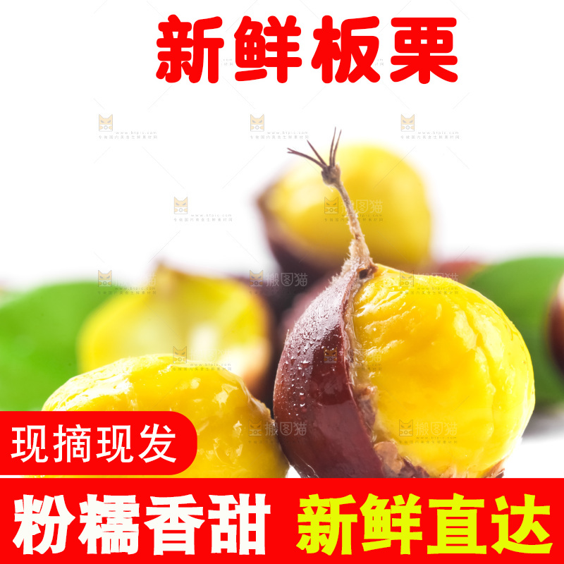 白底上的板栗
