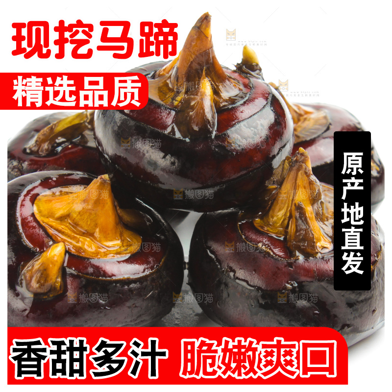 白底上摆放着广西荔浦马蹄