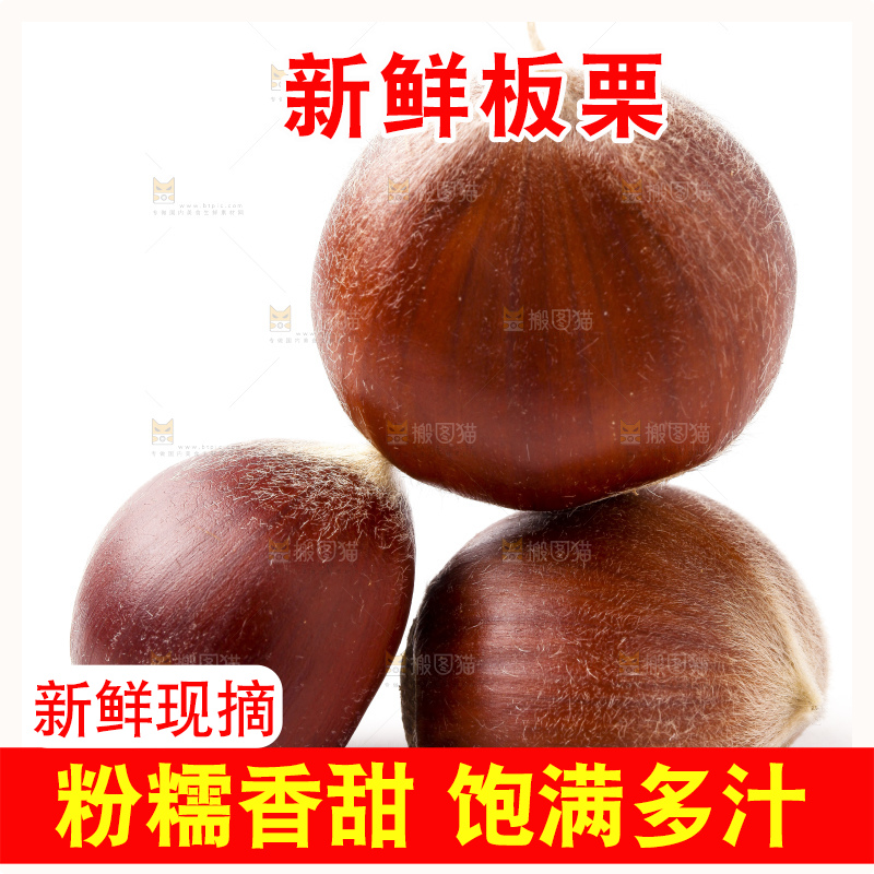 白底上放着迁西板栗
