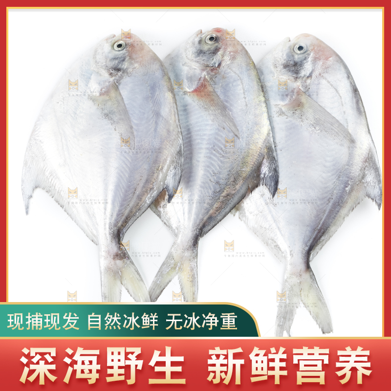 白底上放着银鲳鱼