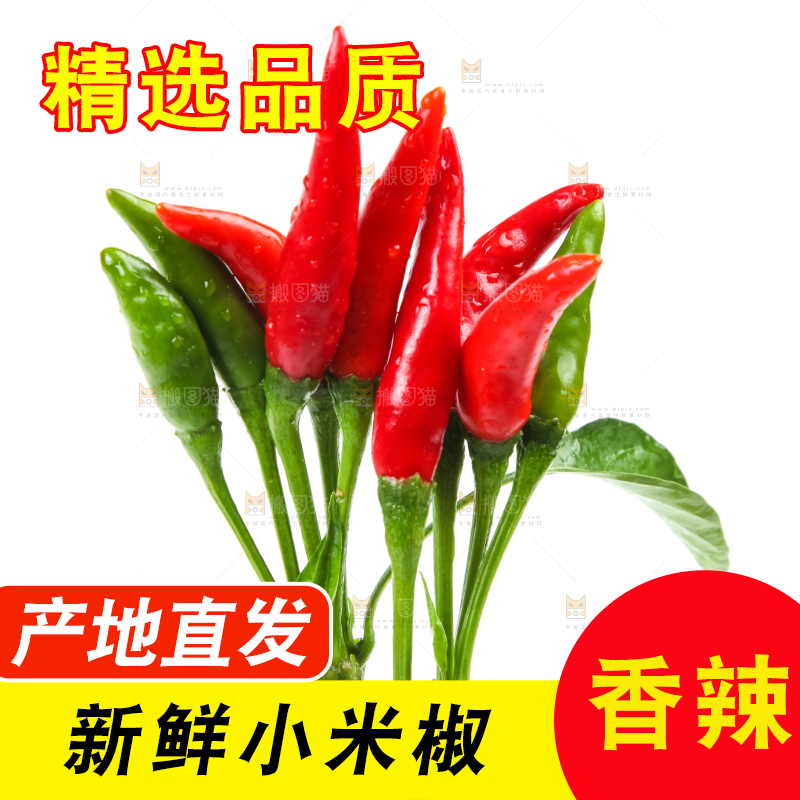 白底上的小米椒