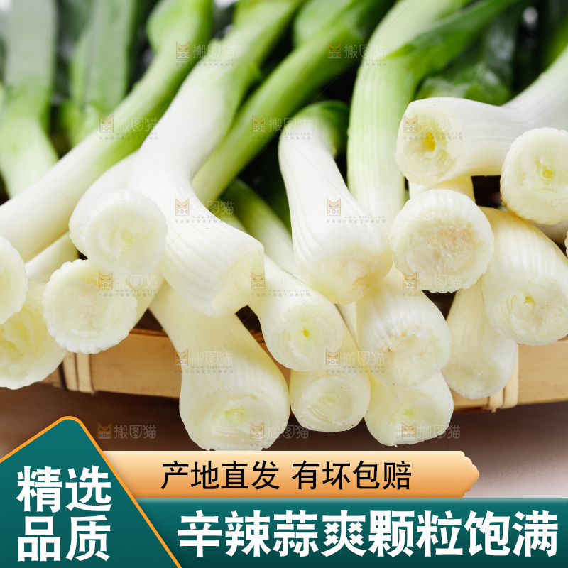 篮子里装着红根蒜苗