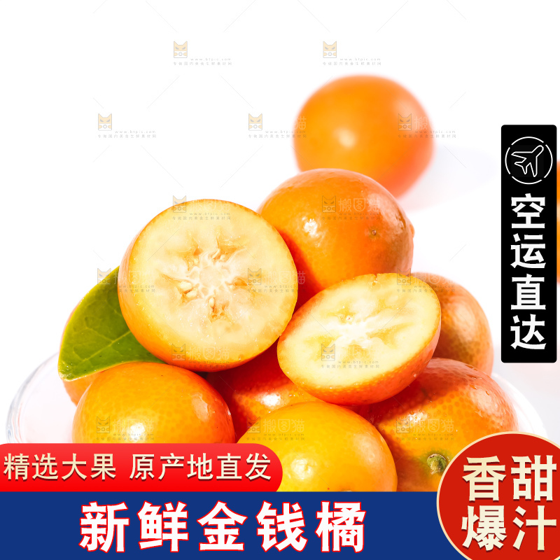 白底上的融安金桔