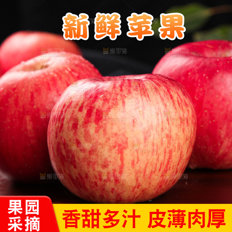 木底上摆放着洛川红富士