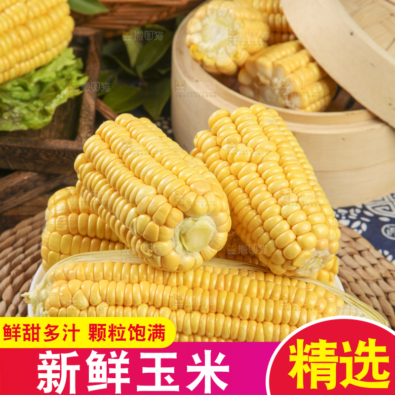 草垫子上放着一盘东北玉米