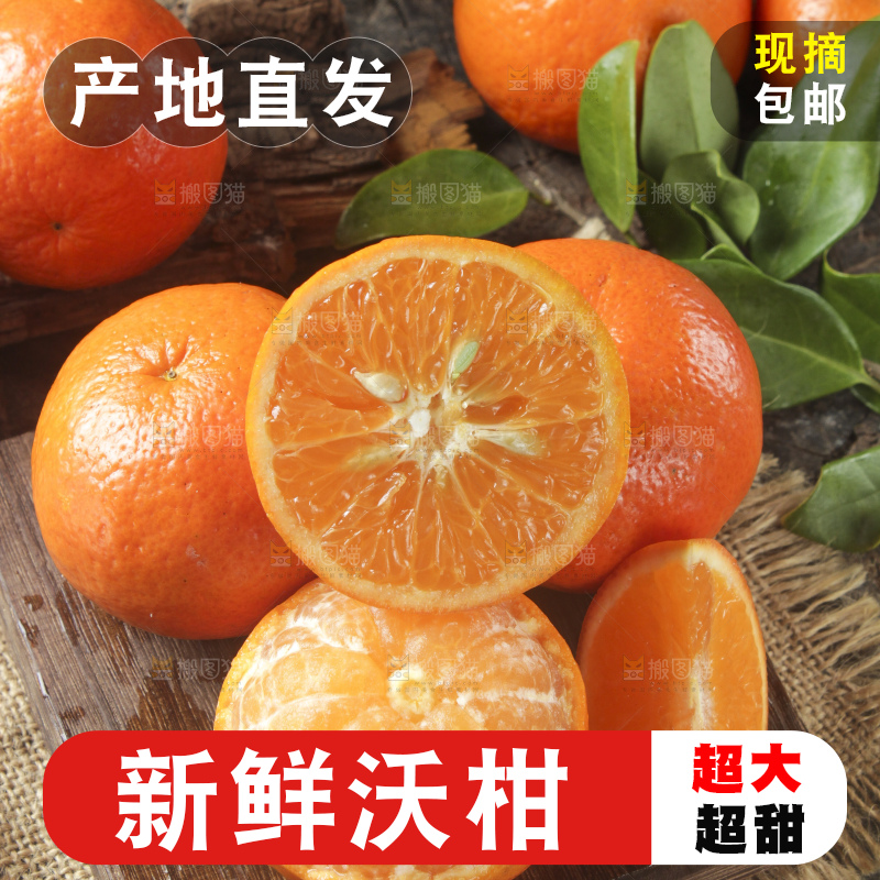 木板上放着沃柑