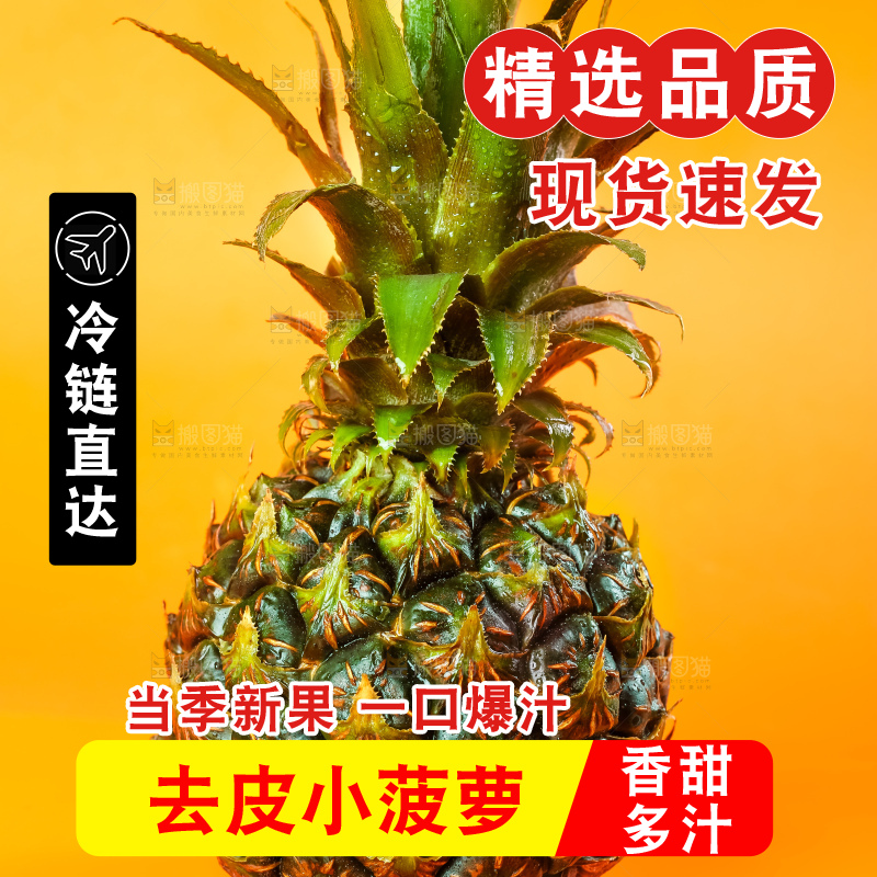 黄底上的泰国迷你小菠萝