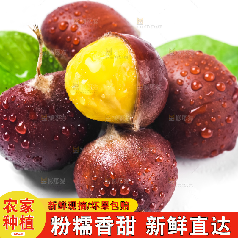 白底上放着迁西板栗
