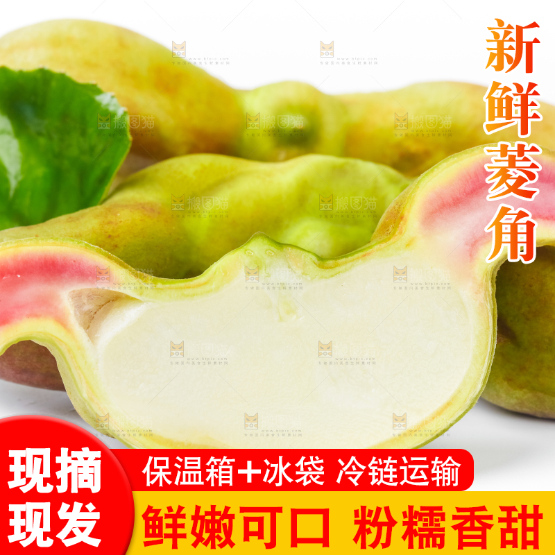 白底上放着洪湖菱角