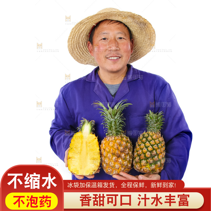 农民手里拿着香水菠萝